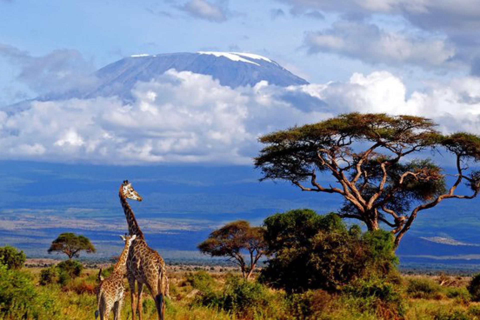 Климат в Танзании - когда лучше ехать?	