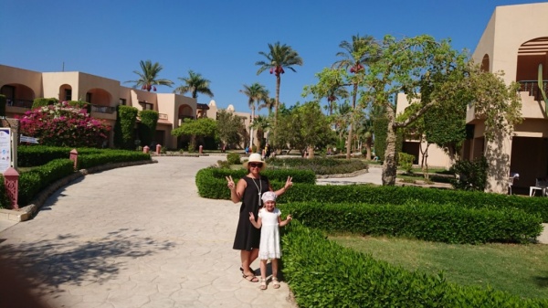 Александр  - отзывы туристов об отеле, Ali Baba Palace 4*, Хургада, Египет, 2019