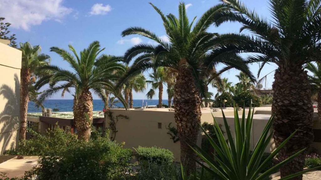 Территория отеля Dessole Malia Beach 4*, Маля, Греция, Крит - фото наших туристов