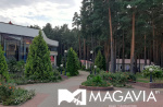 Картинка - 4