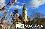 Картинка - 1
