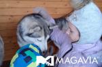 Картинка - 5