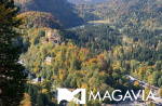 Картинка - 1
