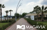 Картинка - 9