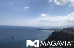 Картинка - 1