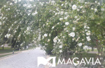 Картинка - 2