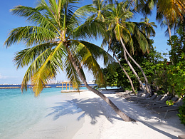 ▶ Идеальная зима на Мальдивских островах с МагАвиа