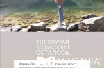 Картинка - 6