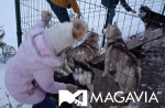 Картинка - 10