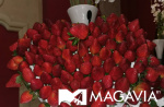 Картинка - 12