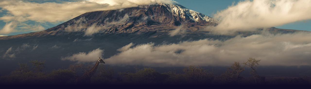 Статьи и новости