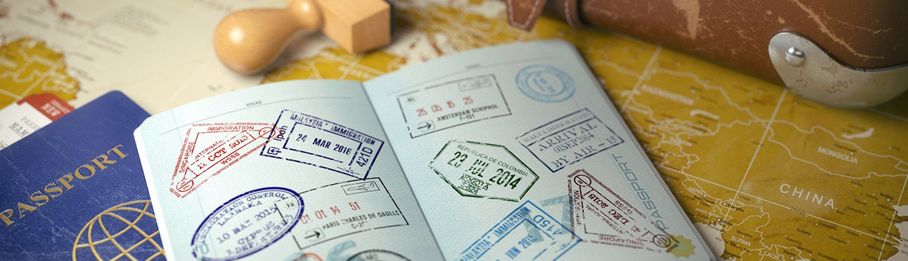 Визовая поддержка